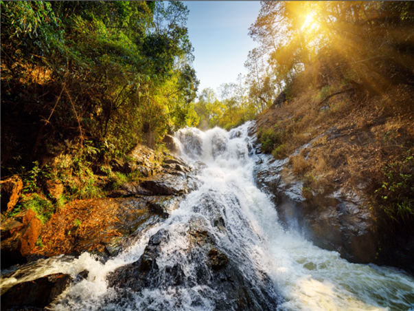 [출발확정][노옵션+$200옵션포함] 나트랑x달랏 3박5일[5성]