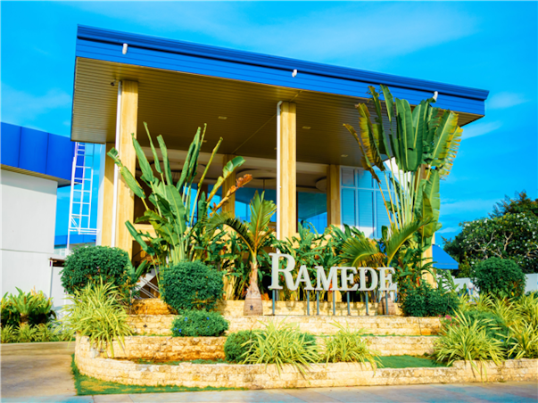 [보홀 / 라메디 디럭스룸] 거북이스노클링+돌핀왓칭 3박5일