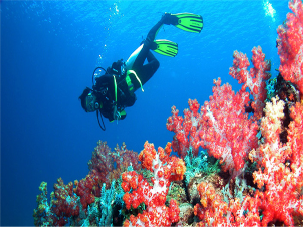 [기간한정특가][노쇼핑+호핑투어+시내라운지] 코타키나발루 그랜드인 슈페리어 3박5일
