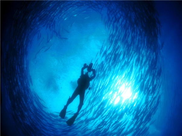 [기간한정특가][노쇼핑+호핑투어+시내라운지] 코타키나발루 그랜드인 슈페리어 3박5일