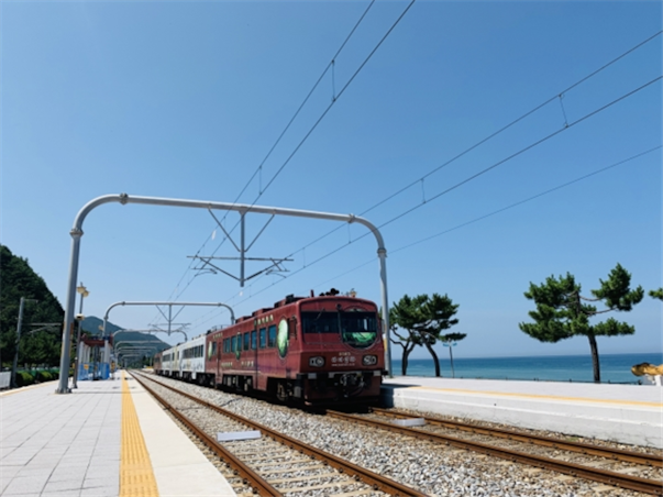 [KTX] 강원도 동해 강릉 당일여행