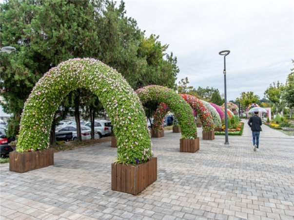 [KTX] 강원도 동해 강릉 당일여행