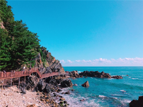 [KTX] 강원도 동해 강릉 당일여행