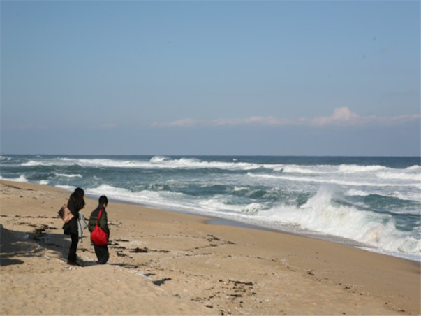 [집중모객]강원도 강릉 동해 당일여행 ＜해안선기차여행＞