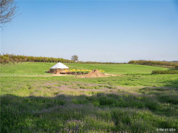 [2인부터단독행사][서해금빛열차+예산관광택시] 충청도 예산 당일여행