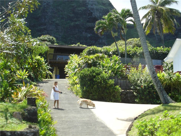 [UP][슬림][관광1일+자유3일] 와이키키 리조트 ＜시티뷰-＞코너디럭스룸＞ 하와이 6일