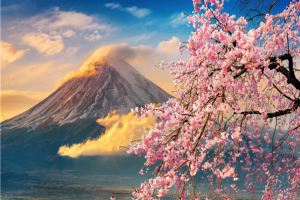 [출발확정][고품격/팁포함][포근한 하코네, 도쿄를 담다] 도쿄/후지산/하코네/이바라키 온천 4일(전일관광/트윈룸/해적선탑승/3大특식)