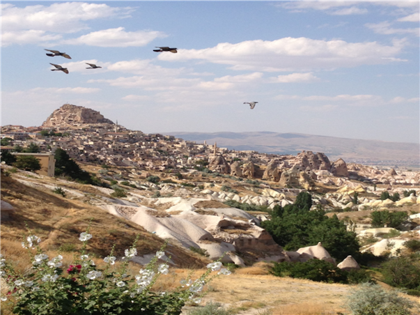 [출발확정/비즈니스탑승] 튀르키예 일주 9일 [고속열차1회+국내선1회 탑승/힐튼 3박포함 전일정 특급]