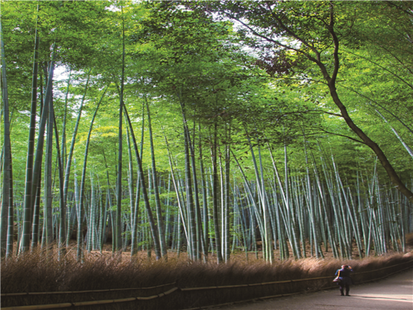 [미라클호] 오사카 럭셔리 크루즈 5일 ＜발코니스위트＞