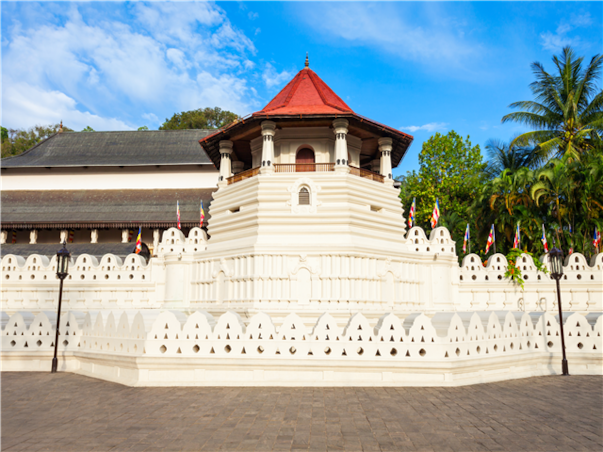 [비즈니스석] 특급 스리랑카 문화탐방 8일＜노팁/노쇼핑/노옵션/비자포함＞(얄라국립공원 사파리투어, 나인아치브릿지, HIGH TEA)