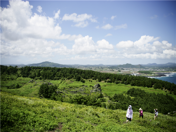 [섬속의힐링] 제주도 우도 3일 ＜노옵션/특식4회/곶자왈/사려니숲길/신신호텔＞