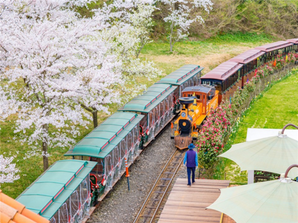 [부산출발][모두단독] 제주도 가족추천 3일 ＜노팁/노옵션/981파크/테마파크/4명부터출발확정＞