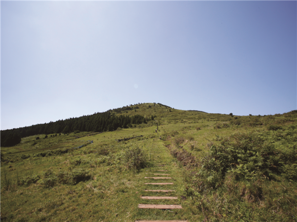 [세미팩] 제주도 3일 ＜리젠트마린호텔/1일자유+2일관광/4명부터출발＞